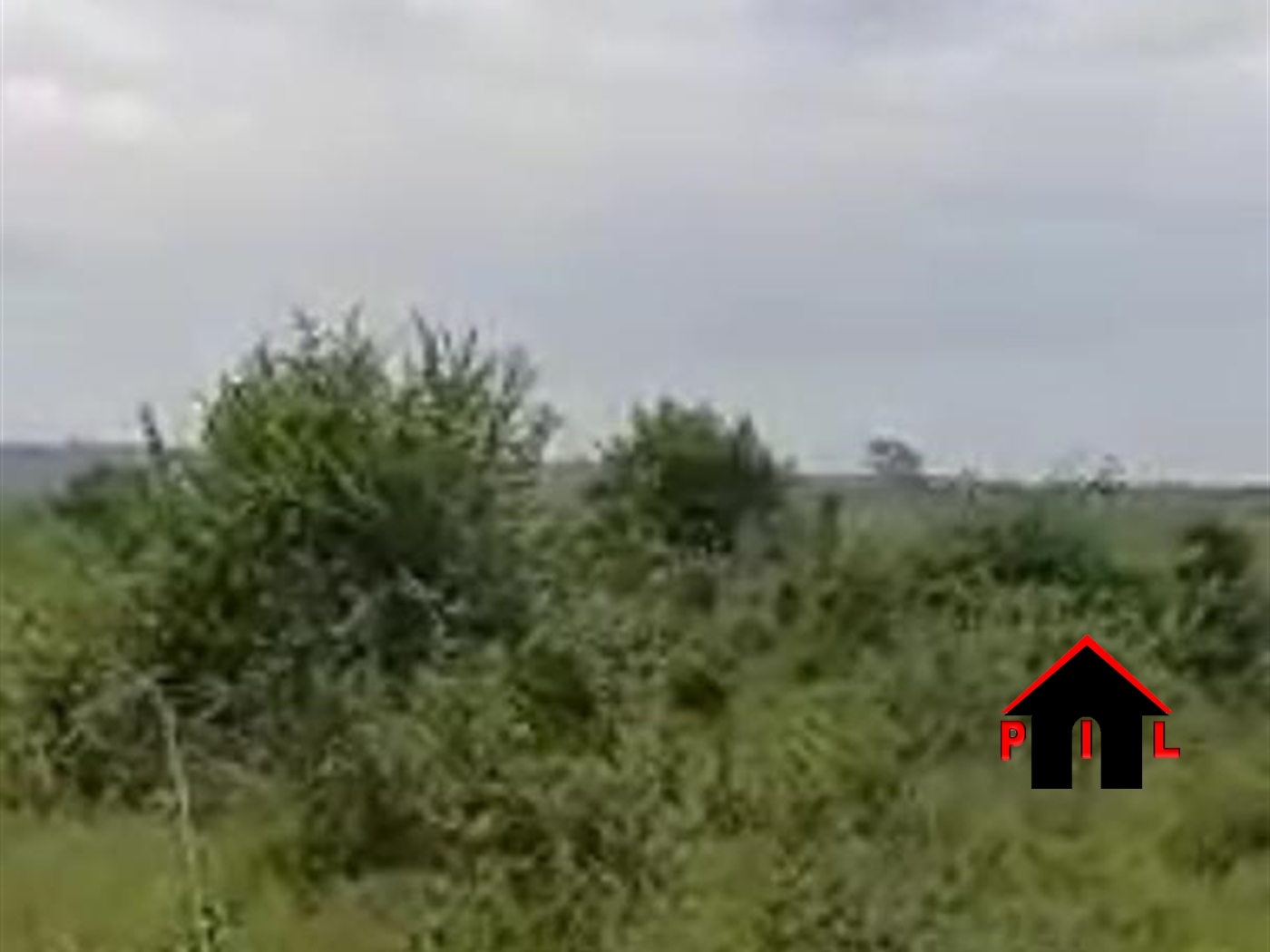 Commercial Land for sale in Muduuma Mityana