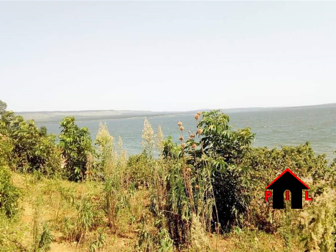 Agricultural Land for sale in Bwigule Mayuge
