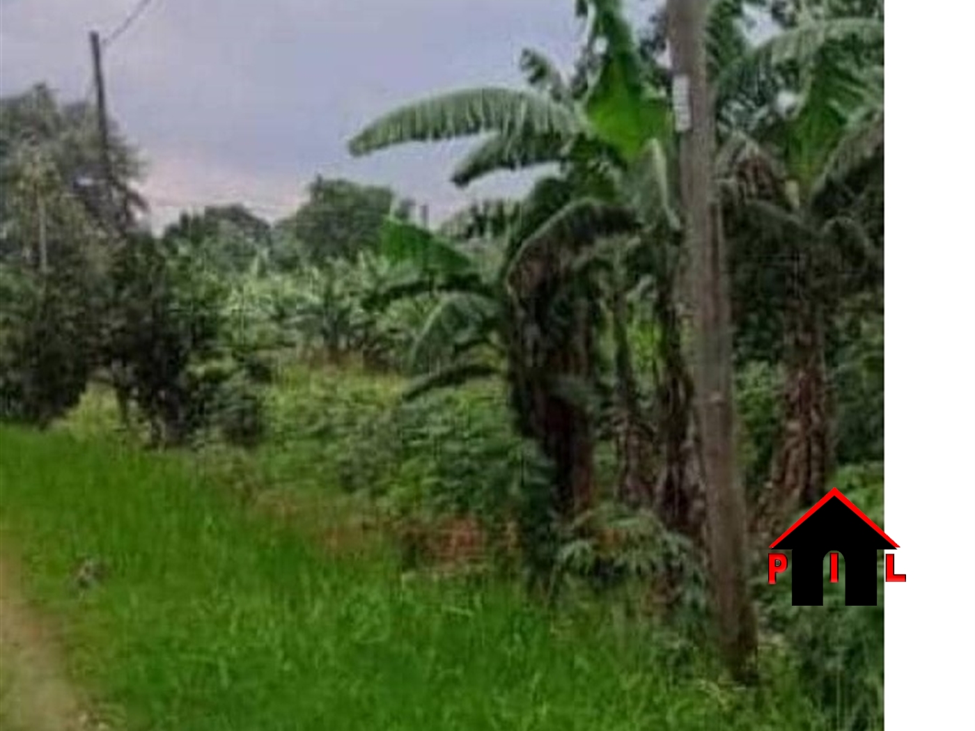 Agricultural Land for sale in Kooba Buyikwe