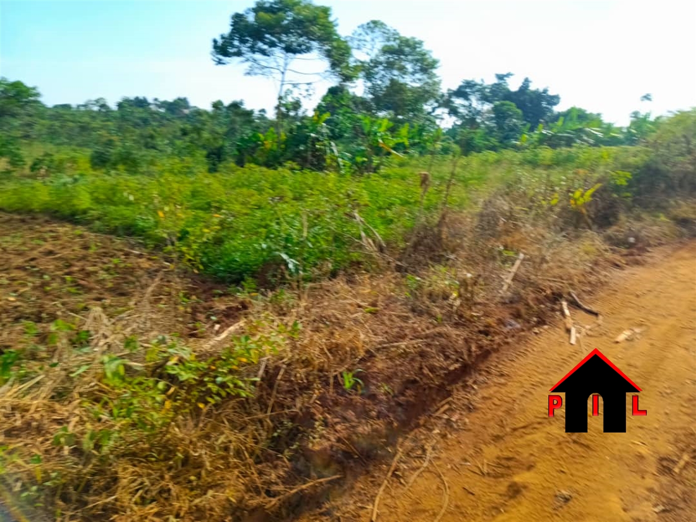 Residential Land for sale in Nsanja Mukono