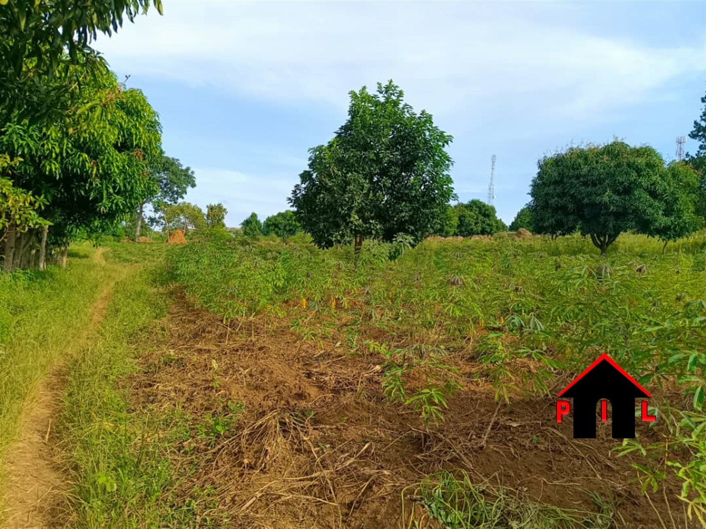 Residential Land for sale in Nsanja Mukono