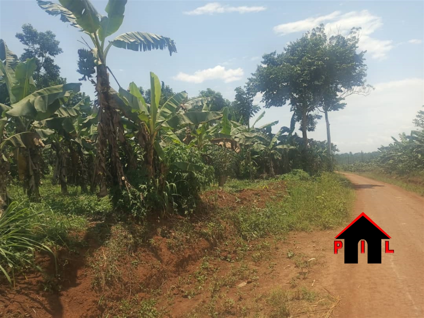 Agricultural Land for sale in Kasabye Nakaseke