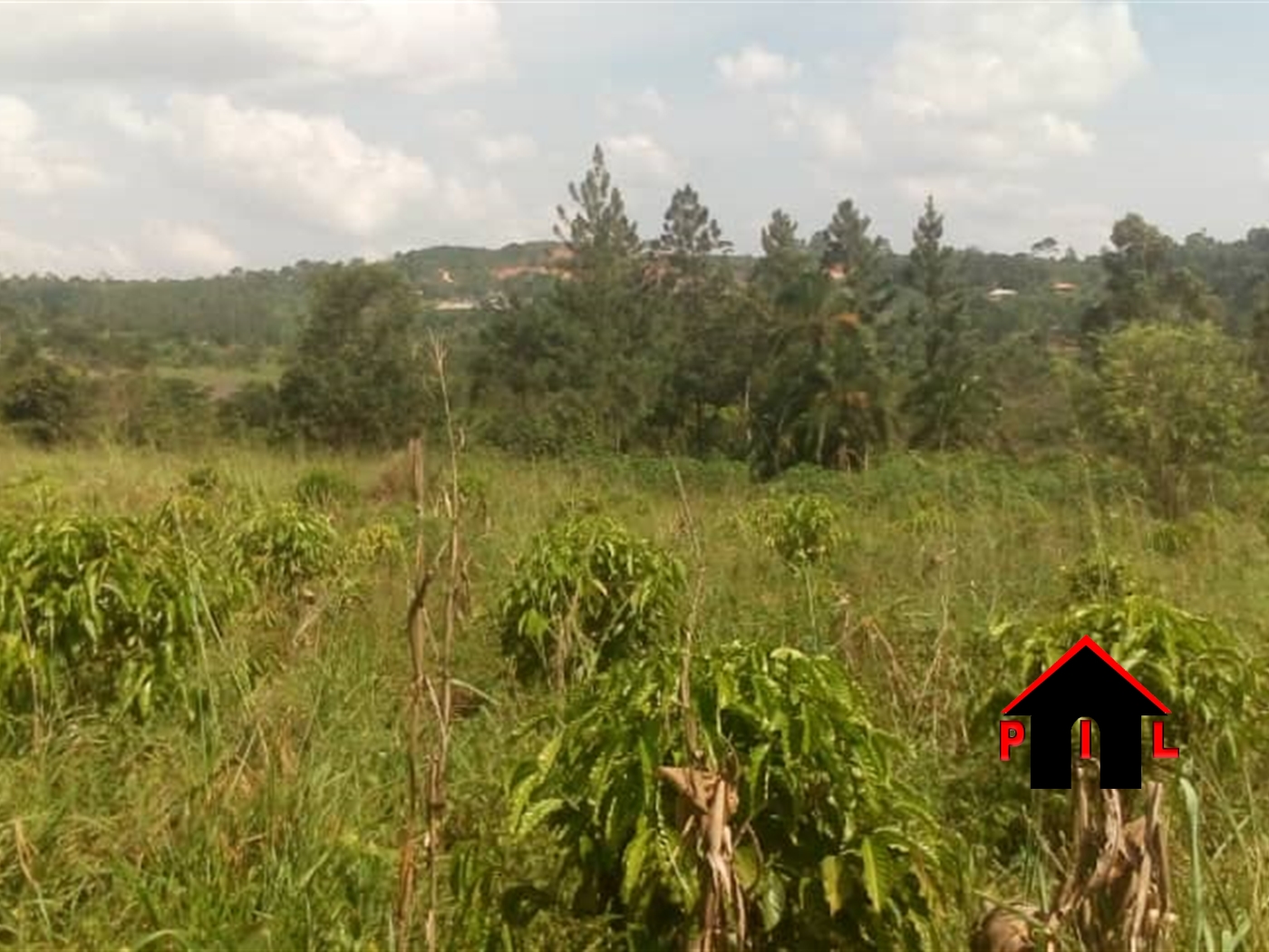 Agricultural Land for sale in Kakumilo Mubende