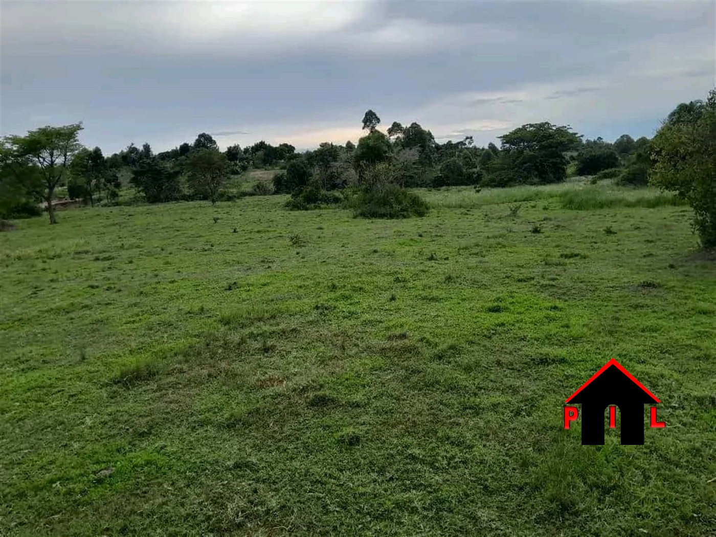 Agricultural Land for sale in Bisozi Kamwenge