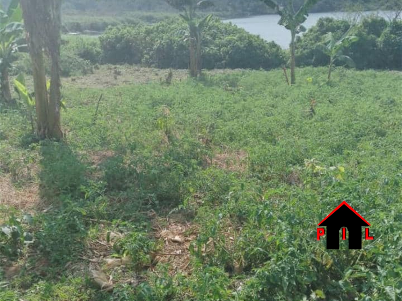Commercial Land for sale in Nansagazi Buyikwe