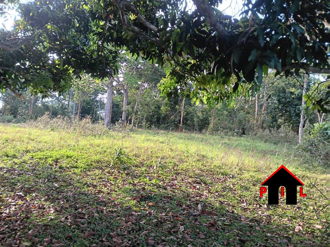 Commercial Land for sale in Kasayi Wakiso