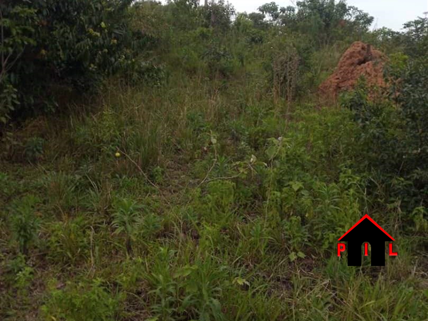 Commercial Land for sale in Ssekanyonyi Mityana