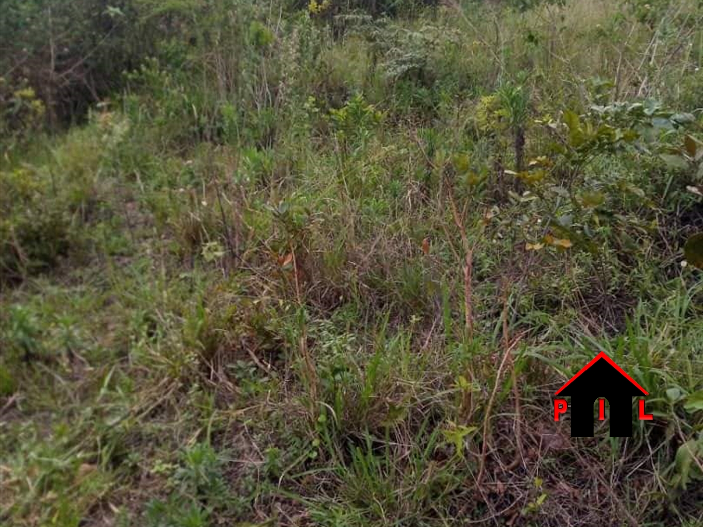 Commercial Land for sale in Ssekanyonyi Mityana