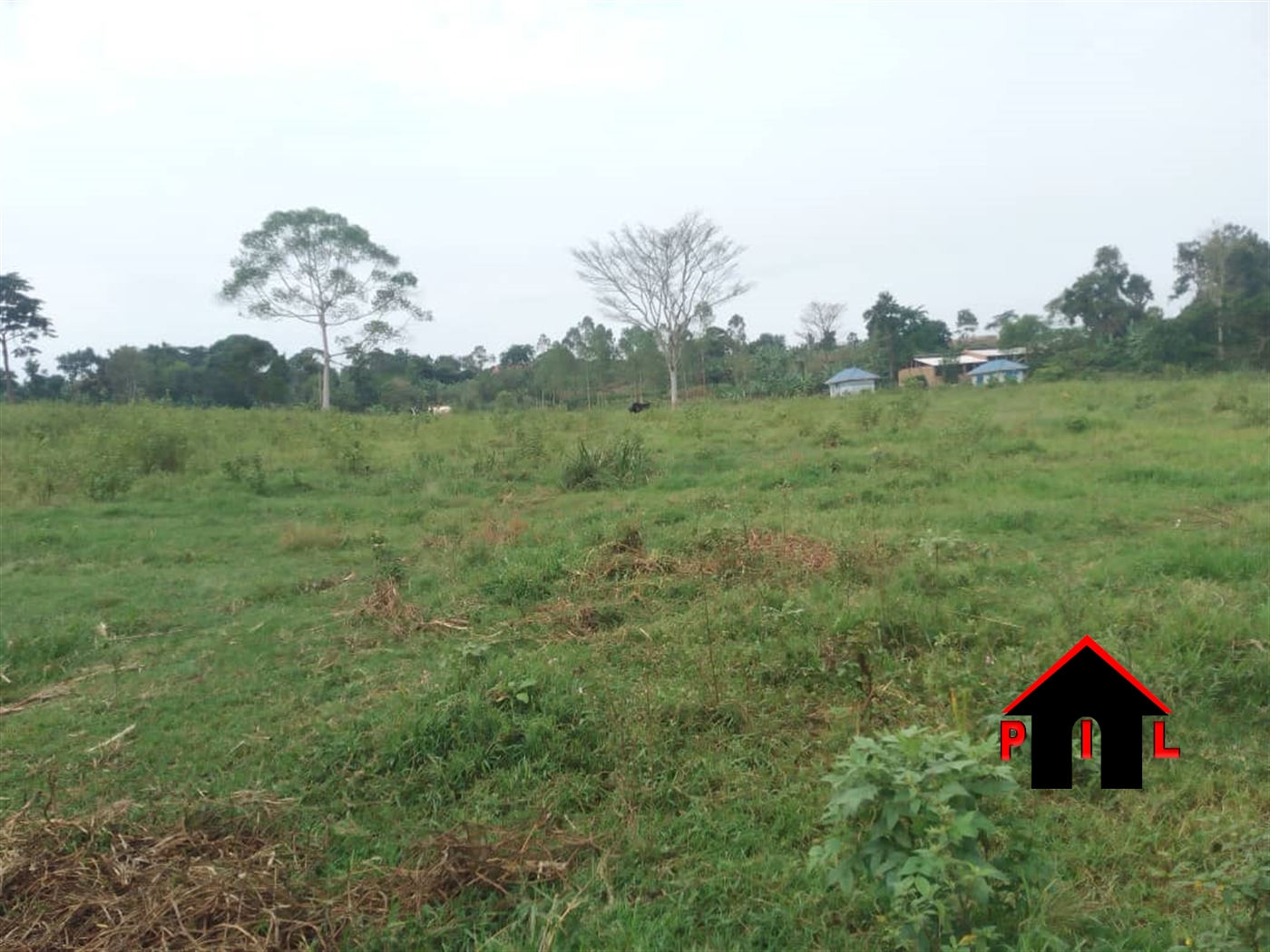 Residential Land for sale in Naluwala Mukono