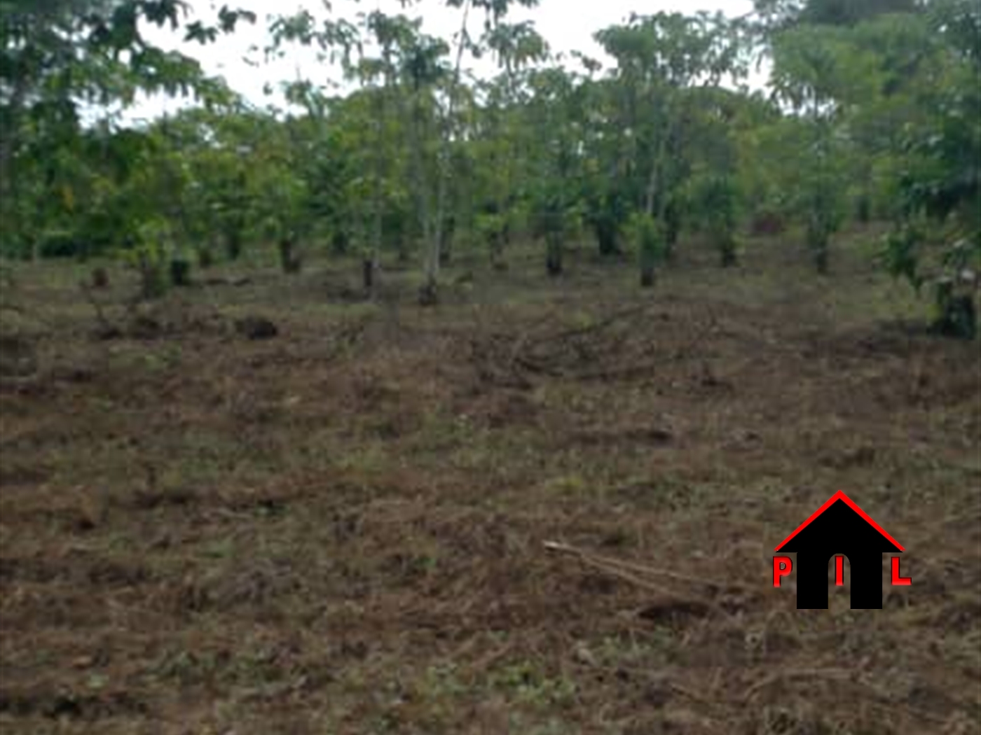 Residential Land for sale in Kubiiri Mukono