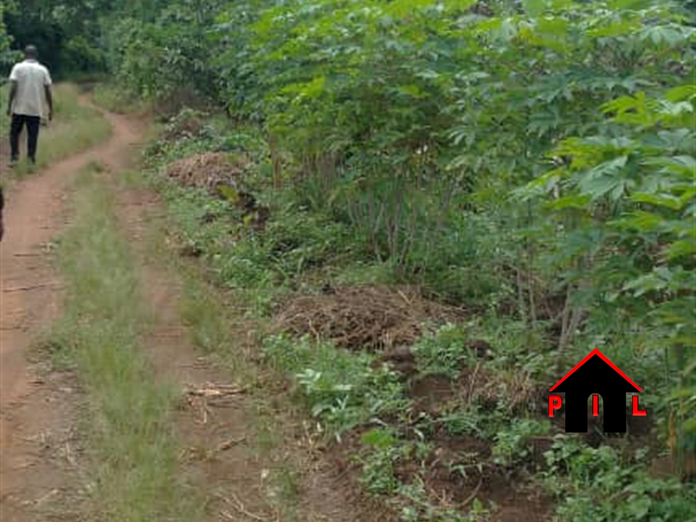 Residential Land for sale in Namataba Mukono