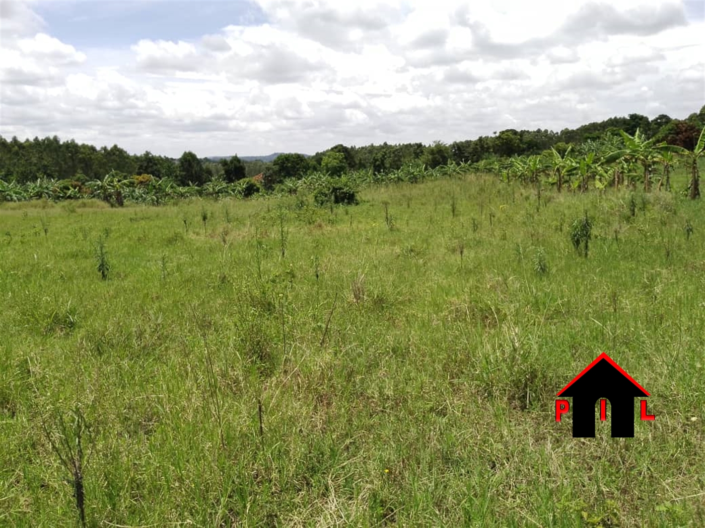 Agricultural Land for sale in Kalanamo Luweero