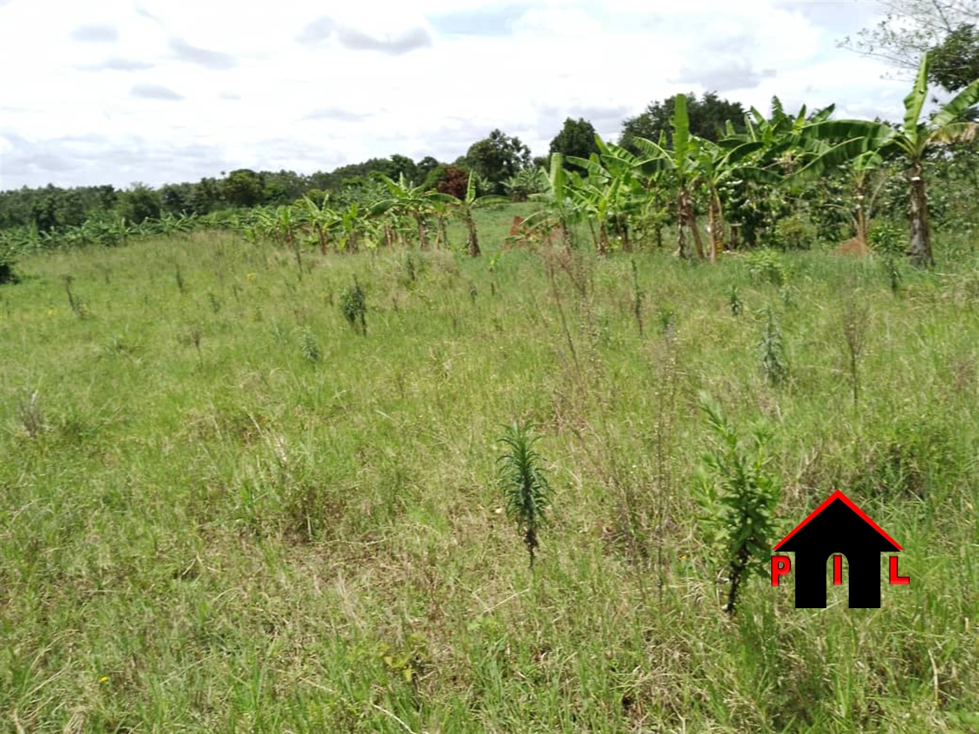 Agricultural Land for sale in Kalanamo Luweero