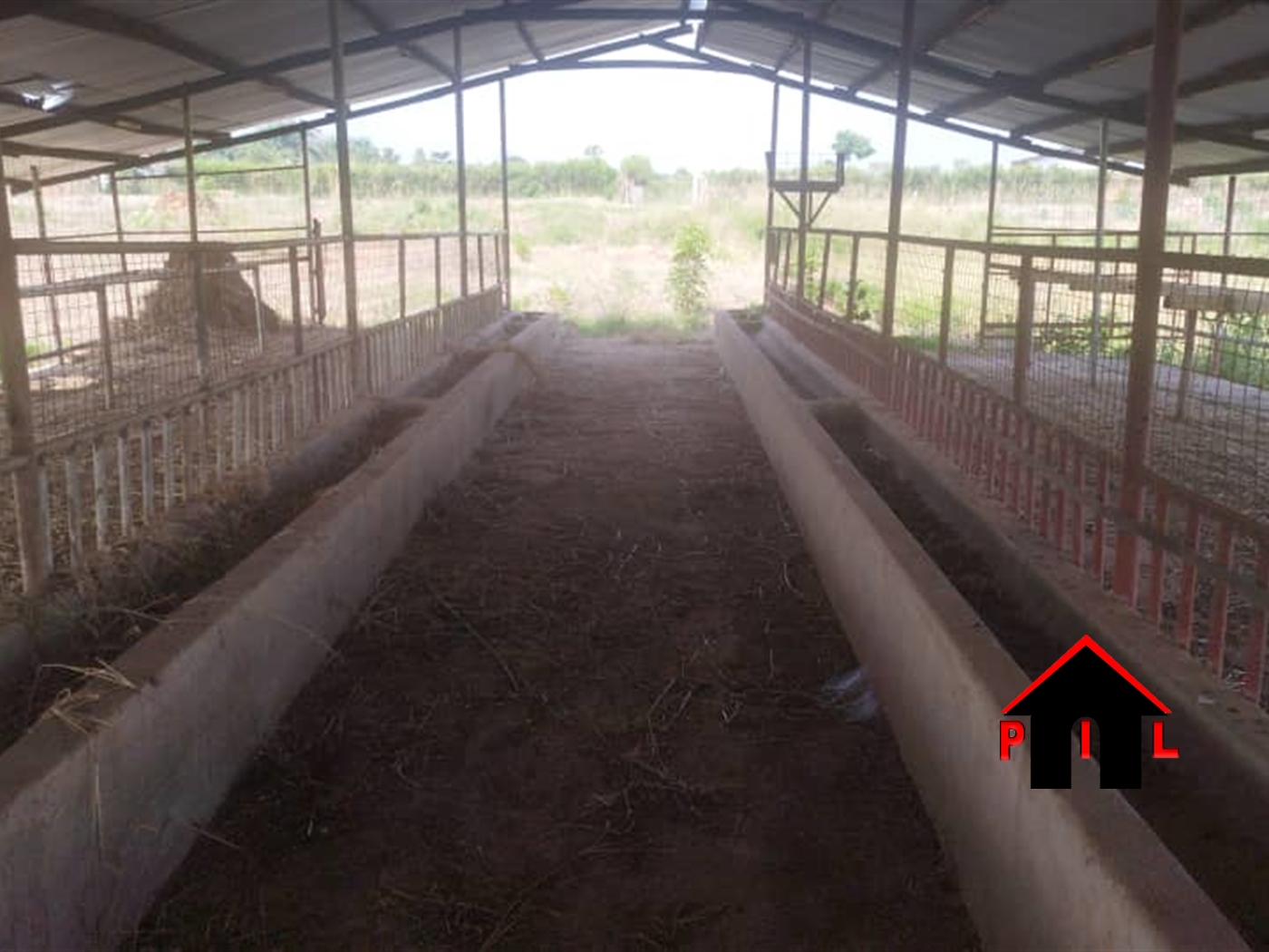 Farm for sale in Kakooge Nakasongola