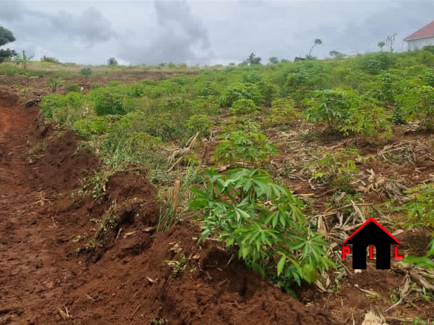 Commercial Land for sale in Bwagaju Mbarara