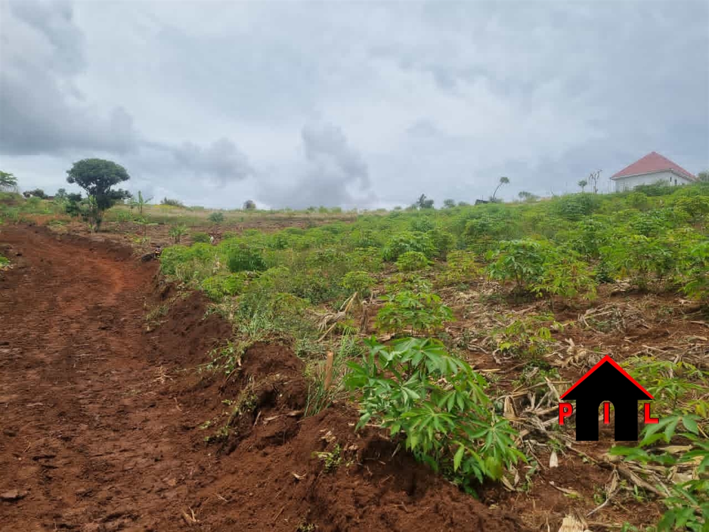 Commercial Land for sale in Bwagaju Mbarara