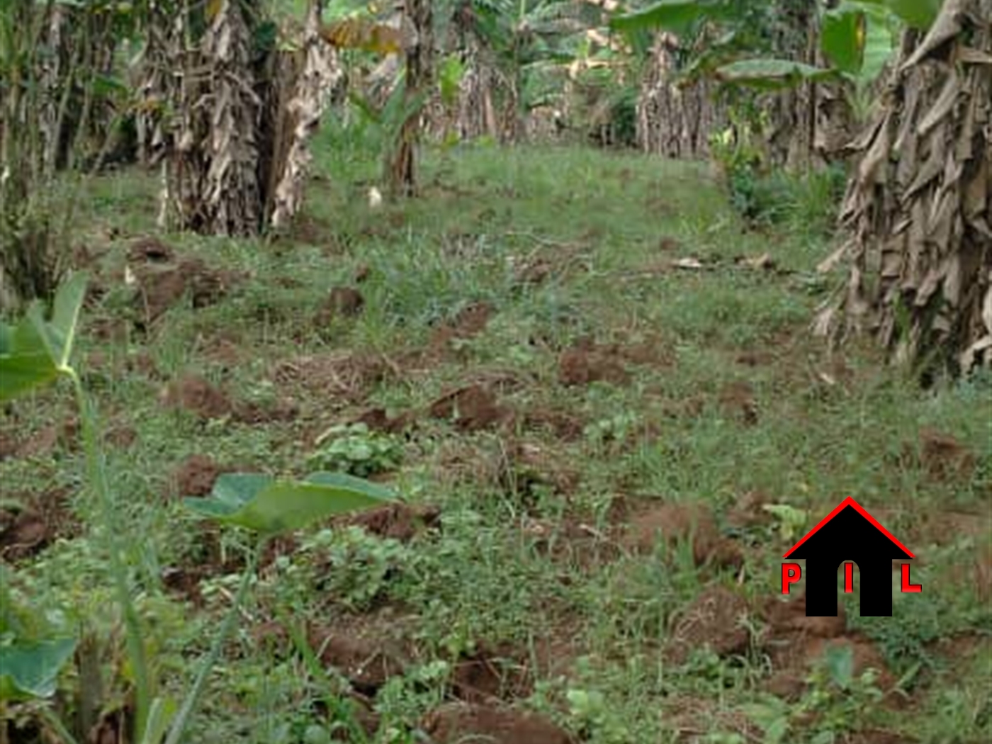Commercial Land for sale in Matugaa Wakiso
