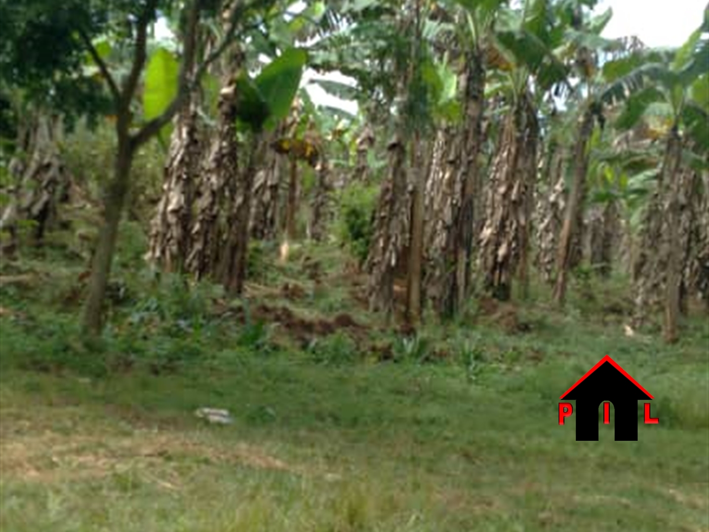 Commercial Land for sale in Matugaa Wakiso