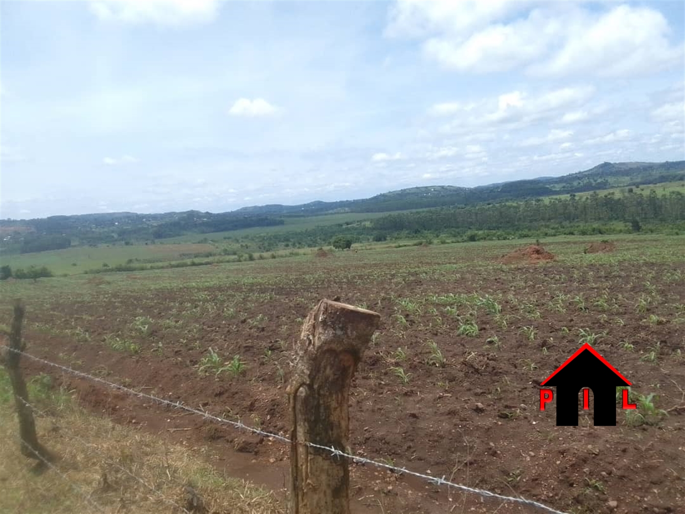 Commercial Land for sale in Bulamu Wakiso