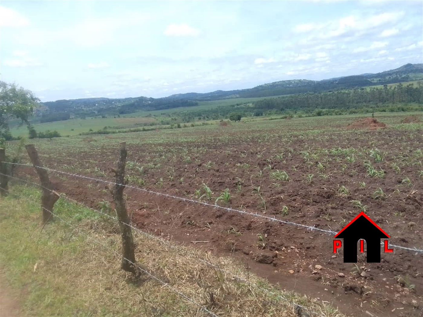 Commercial Land for sale in Bulamu Wakiso