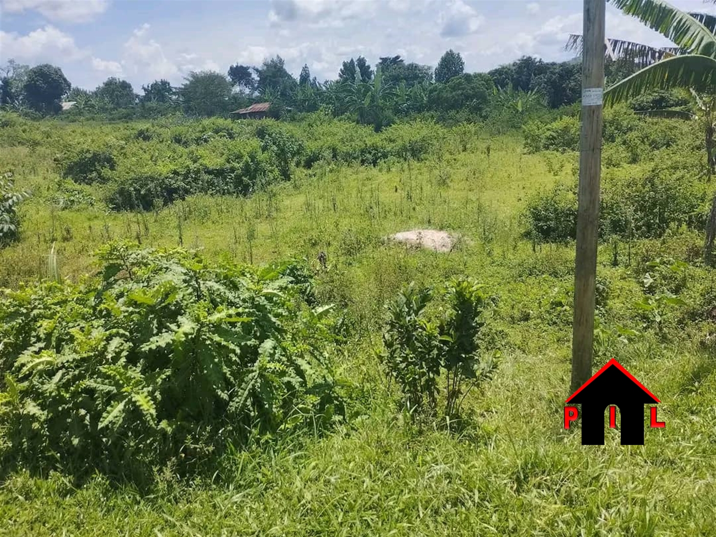 Commercial Land for sale in Buwalula Mityana