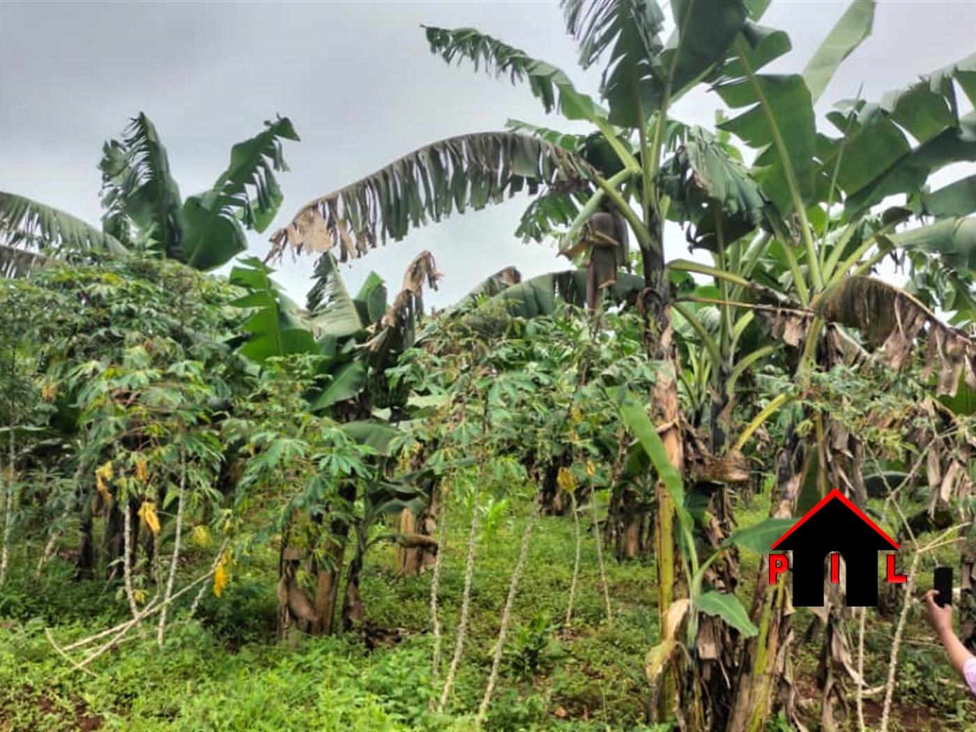 Residential Land for sale in Kabila Masaka