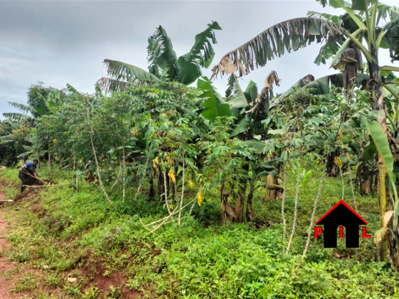 Residential Land for sale in Kabila Masaka