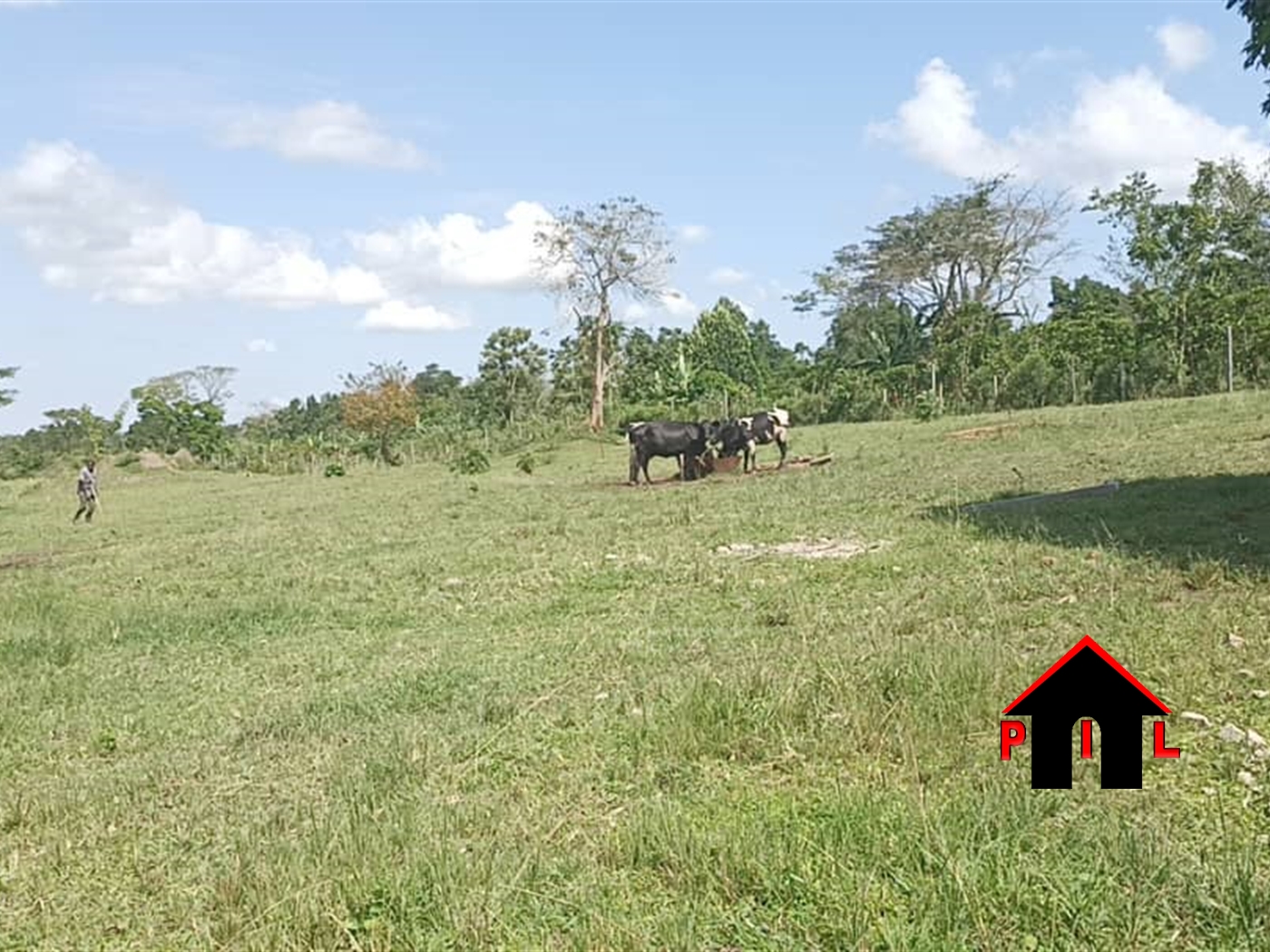 Residential Land for sale in Kiwoko Nakaseke