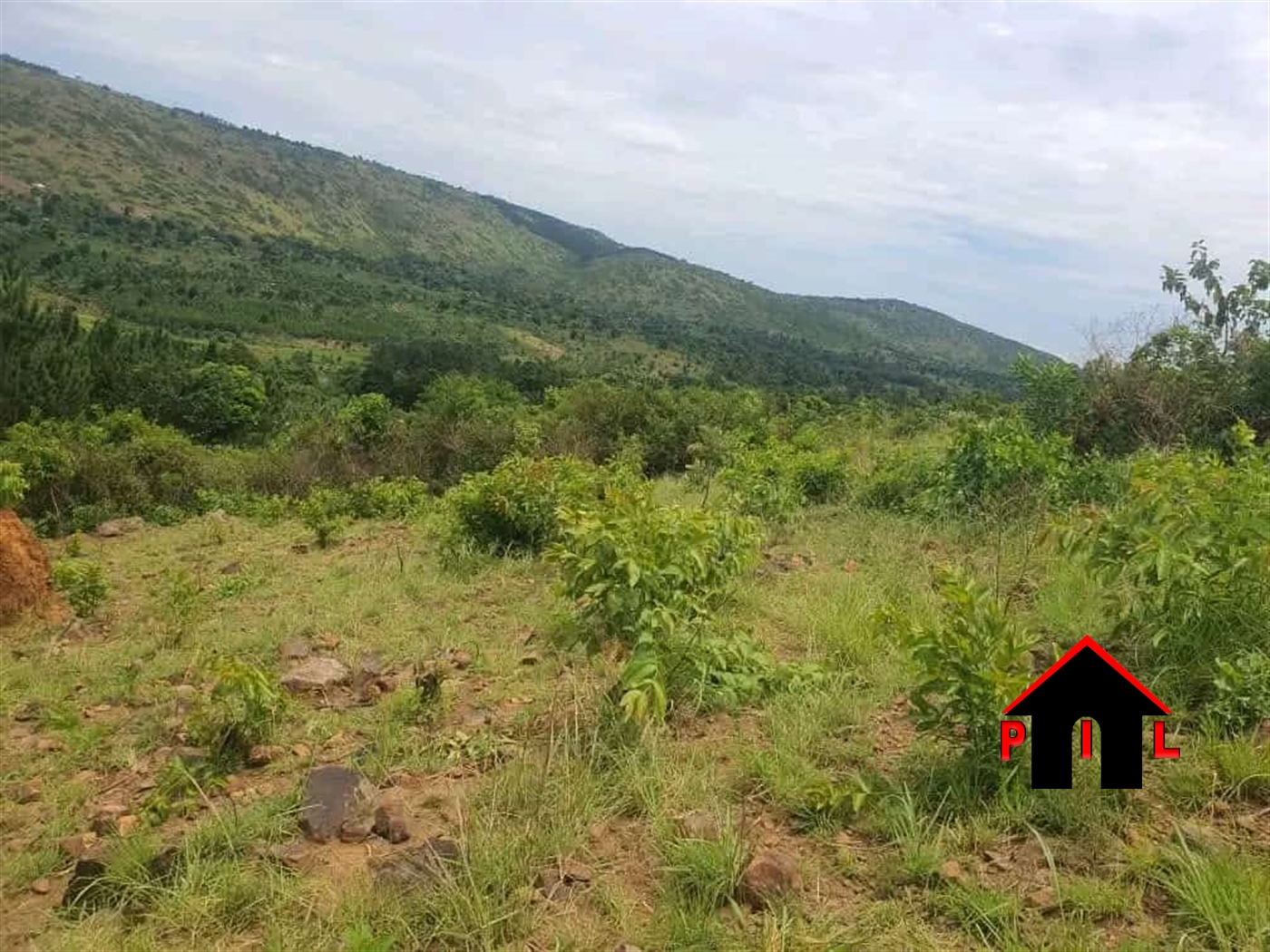 Commercial Land for sale in Bukomera Kiboga
