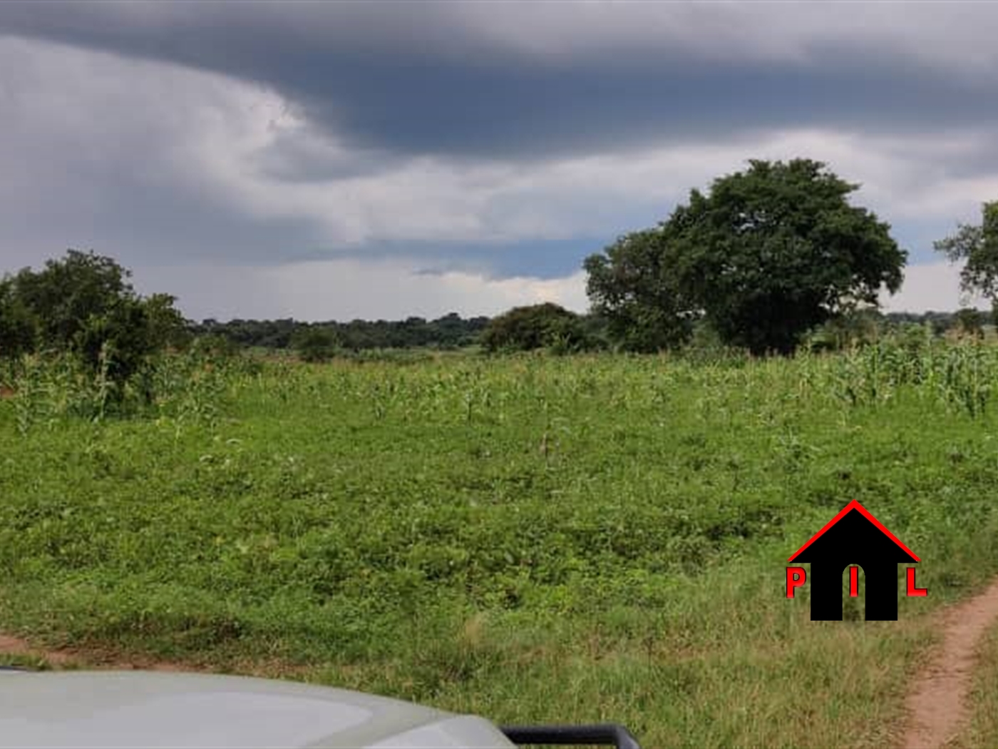 Commercial Land for sale in Kaiti Namutumba