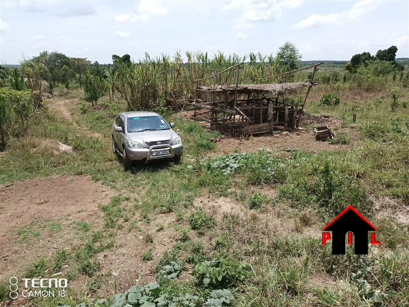 Farm for sale in Katuugo Nakasongola