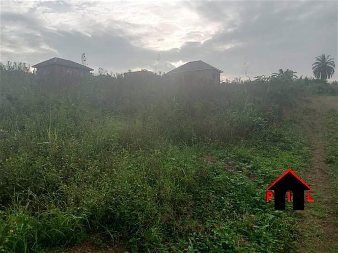Residential Land for sale in Buyego Mayuge