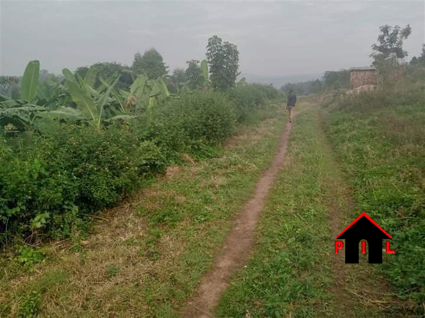 Residential Land for sale in Buyego Mayuge