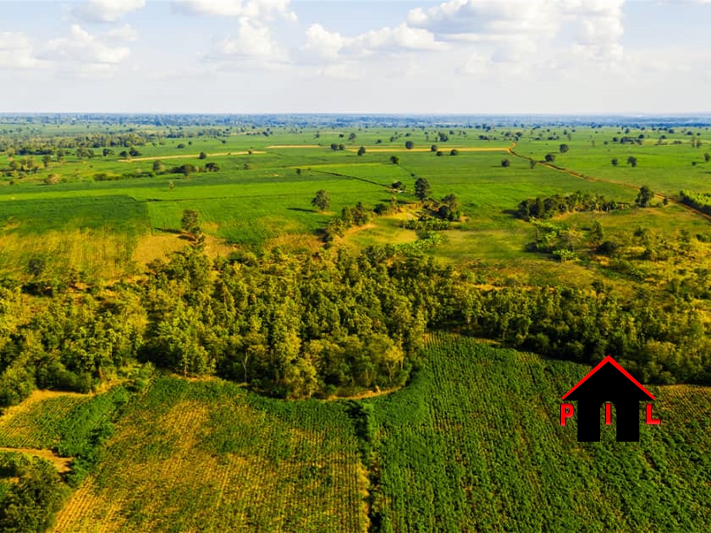 Agricultural Land for sale in Kyankwazii Kyankwazi