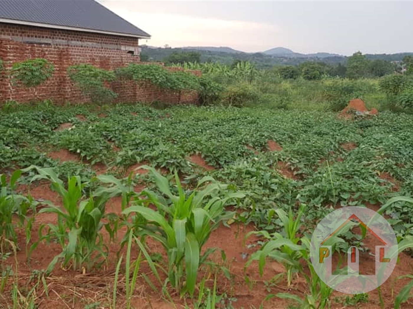 Residential Land for sale in Manyangwa Wakiso