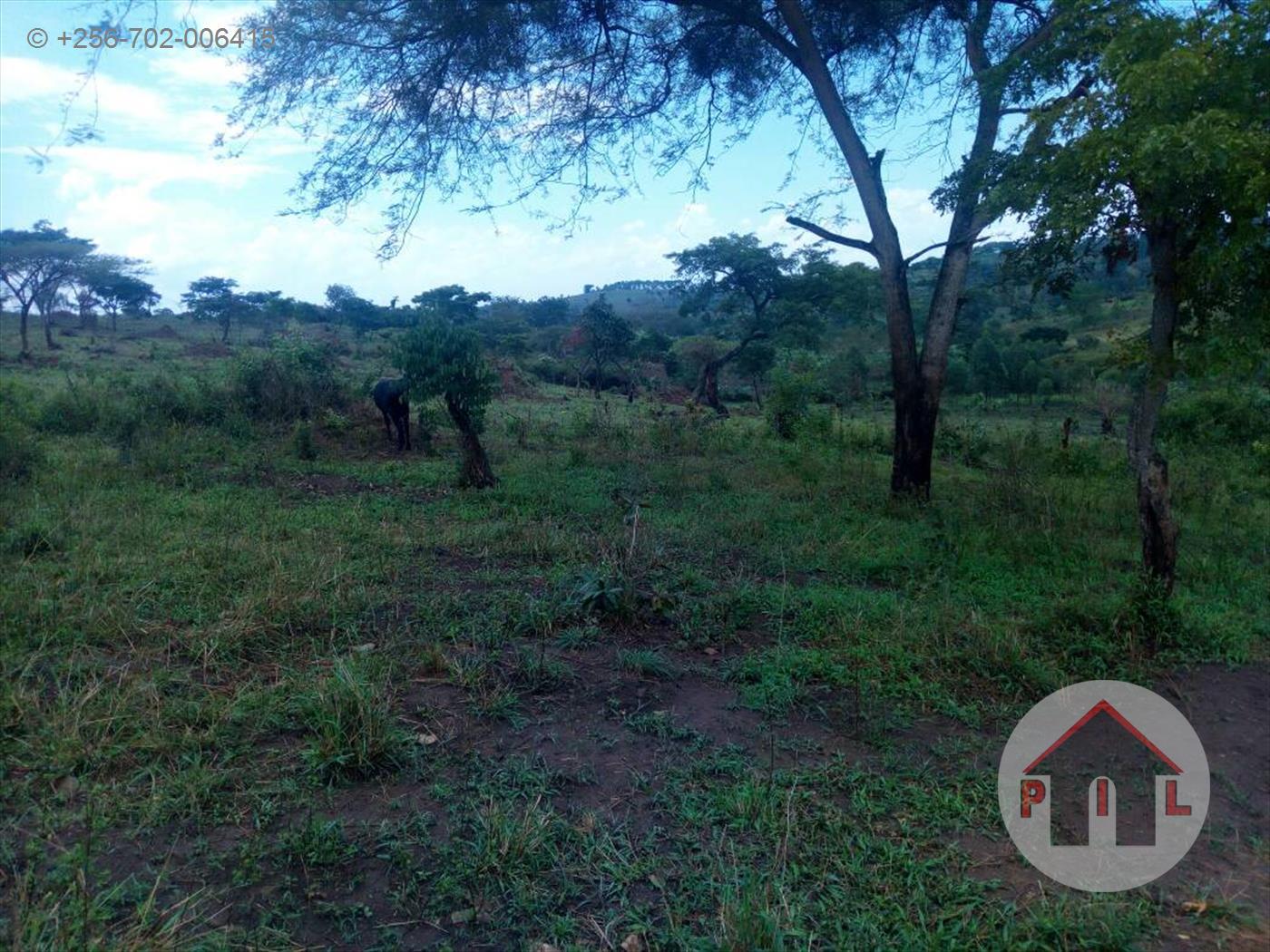 Residential Land for sale in Namuwongo Kampala