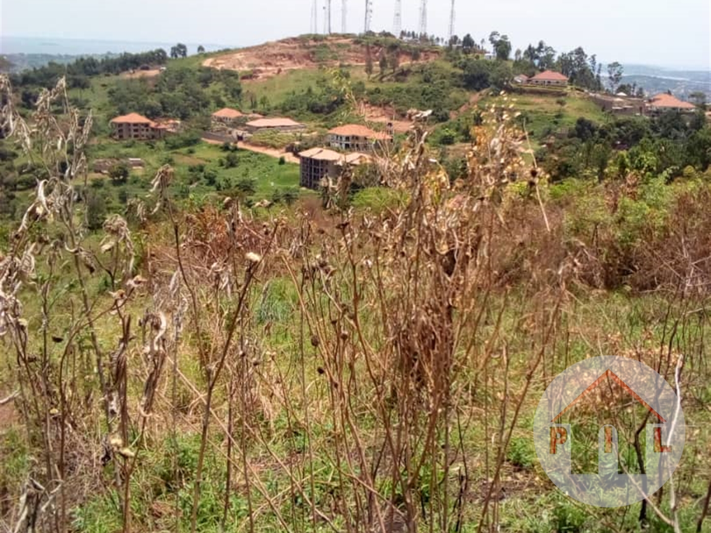 Agricultural Land for sale in Bwebajja Wakiso