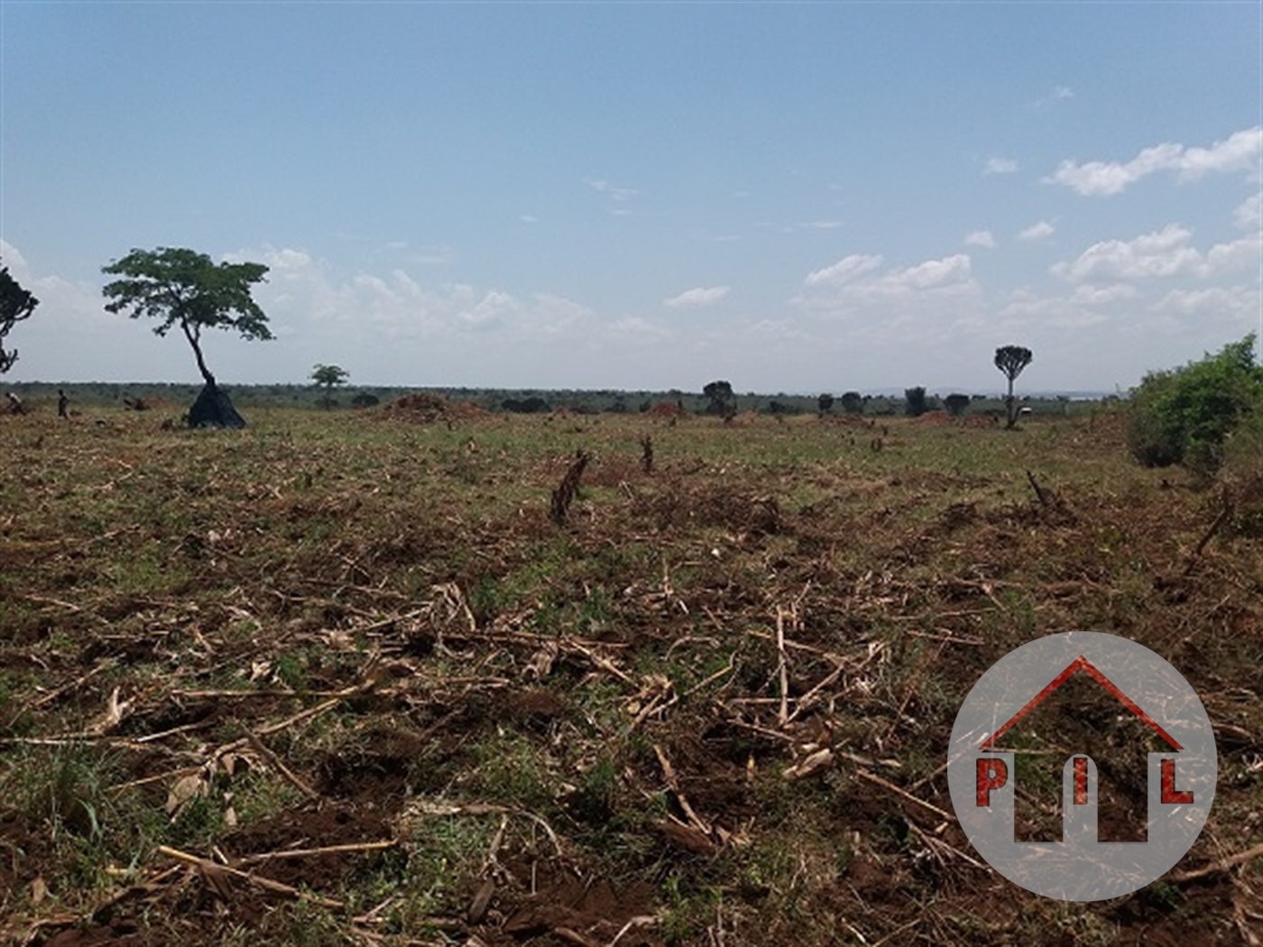 Agricultural Land for sale in Kyai Mityana