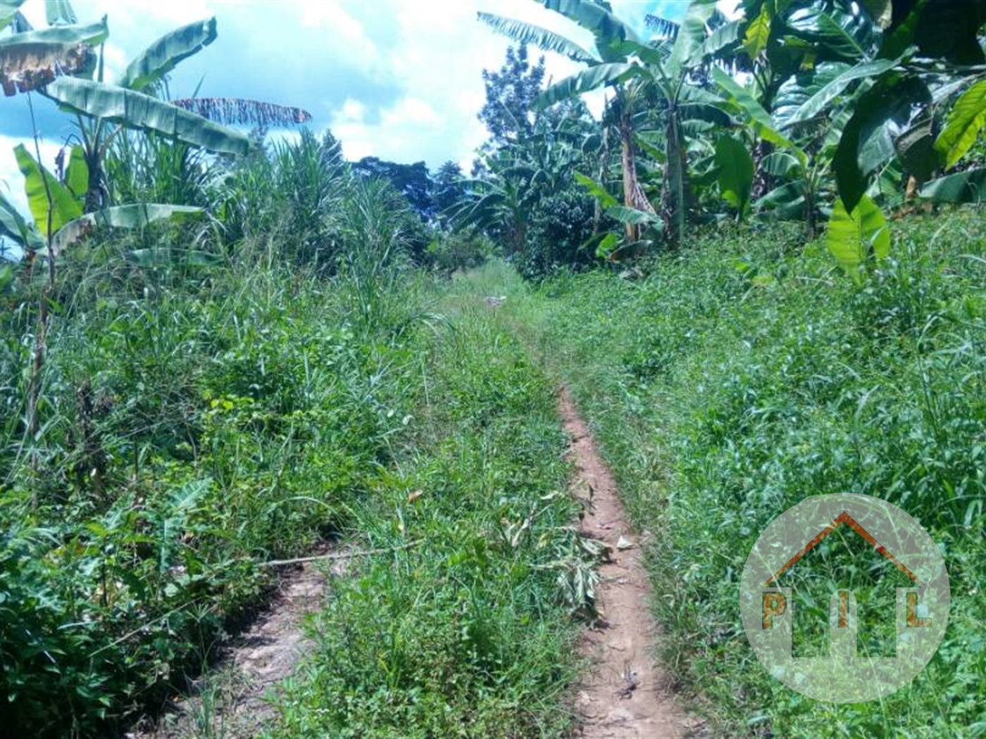 Agricultural Land for sale in Jjoggo Wakiso