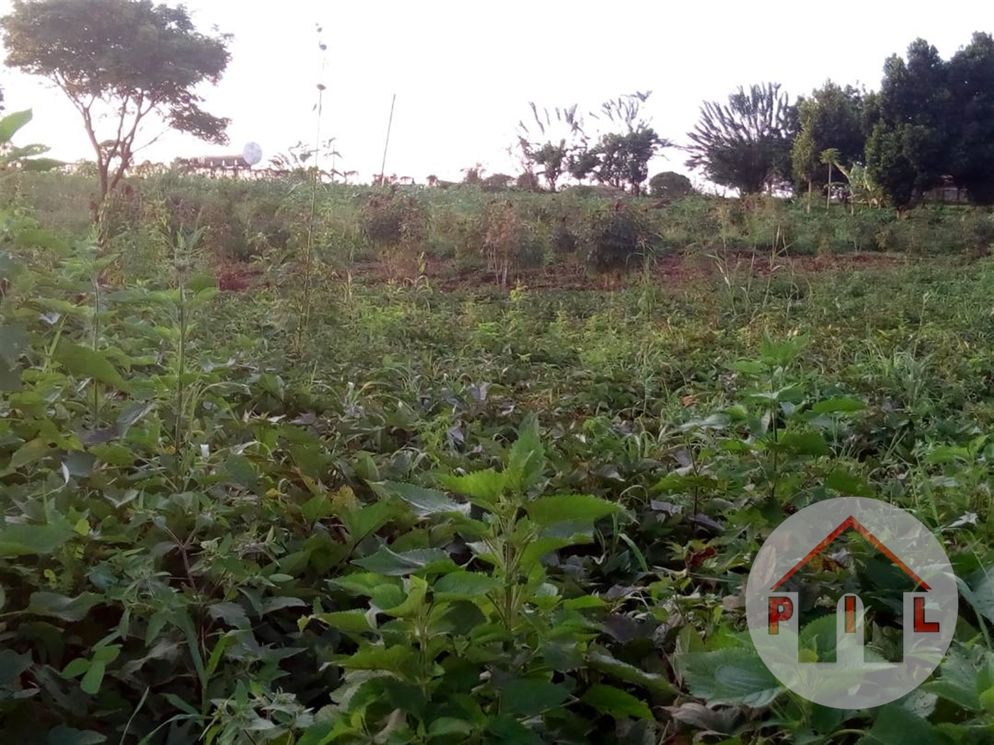 Residential Land for sale in Lubowa Wakiso