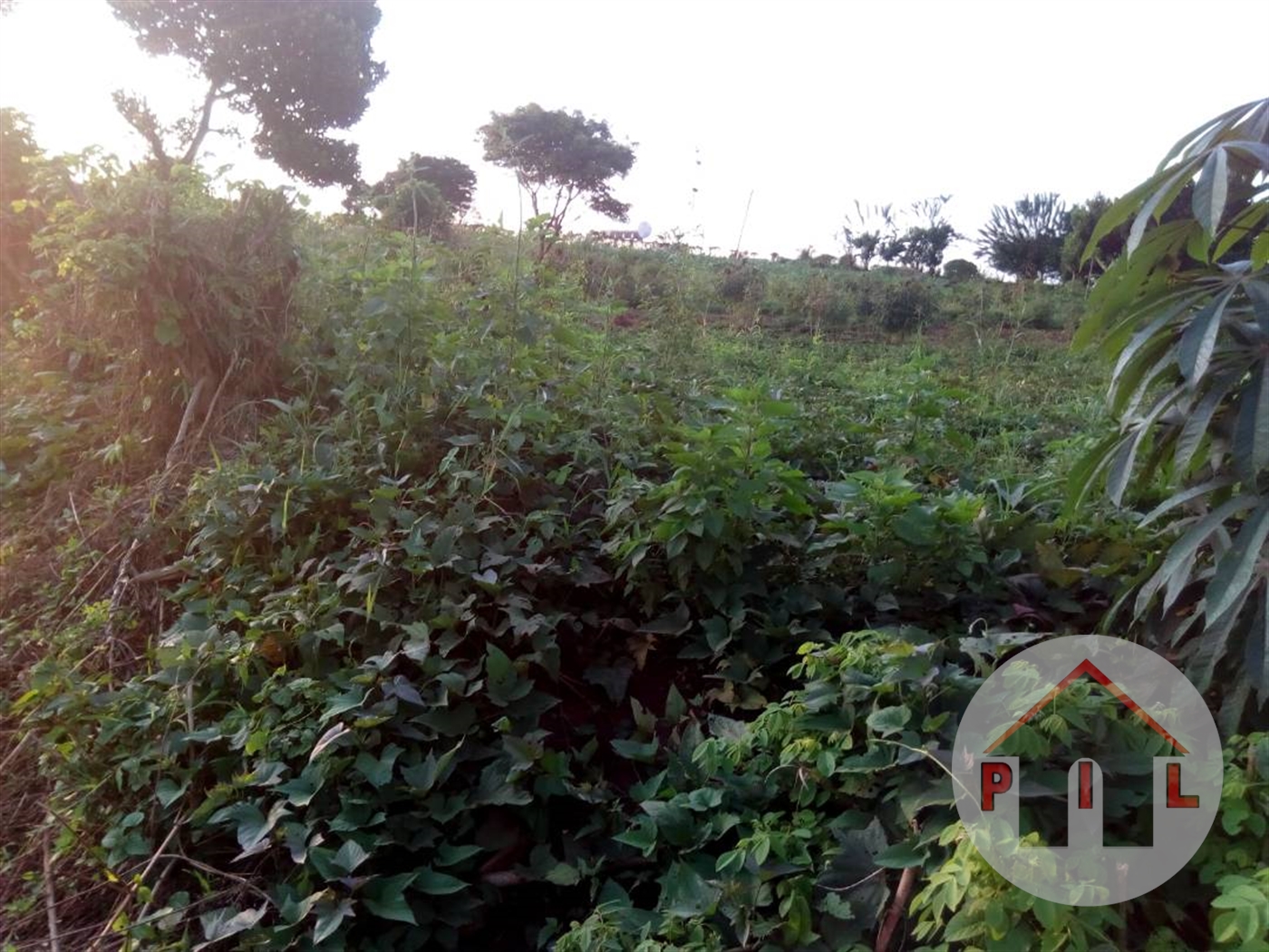 Residential Land for sale in Lubowa Wakiso