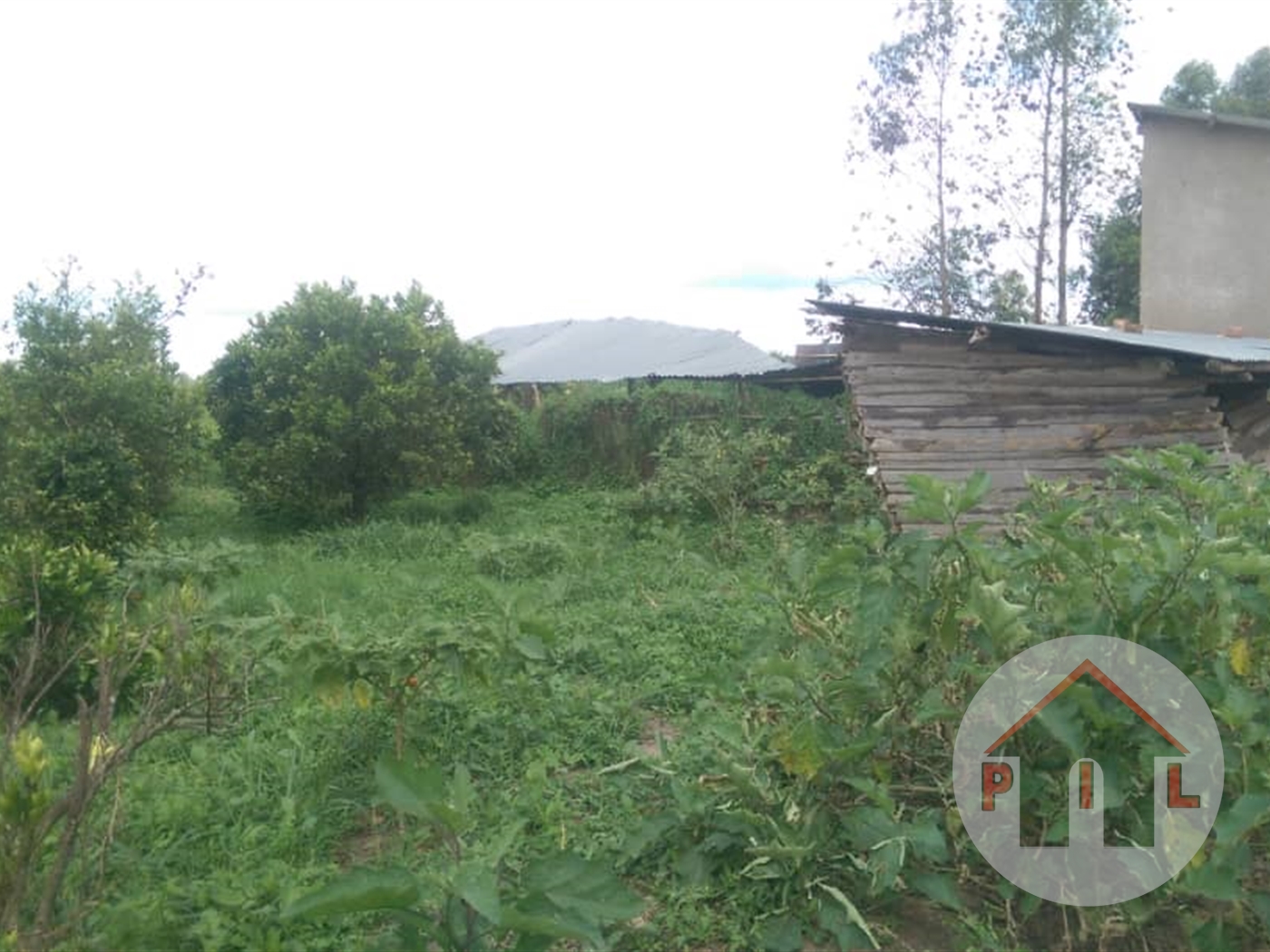 Agricultural Land for sale in Busunjju Mityana