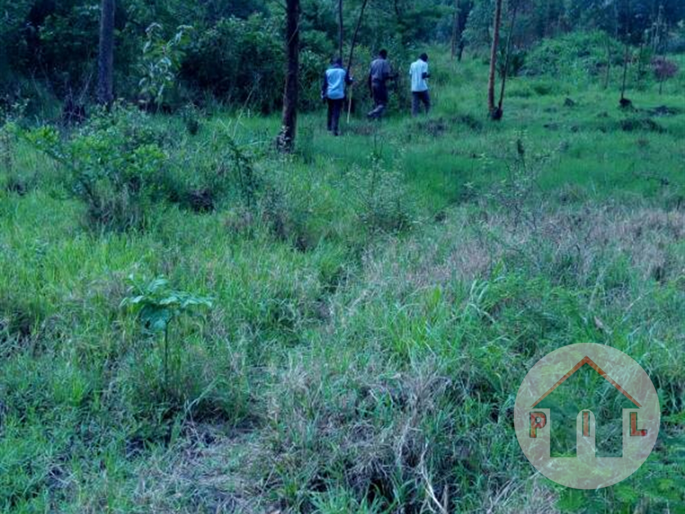 Agricultural Land for sale in Kassanda Mubende