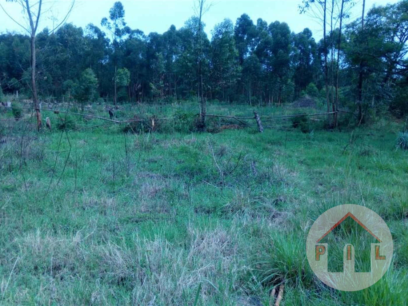 Agricultural Land for sale in Kassanda Mubende