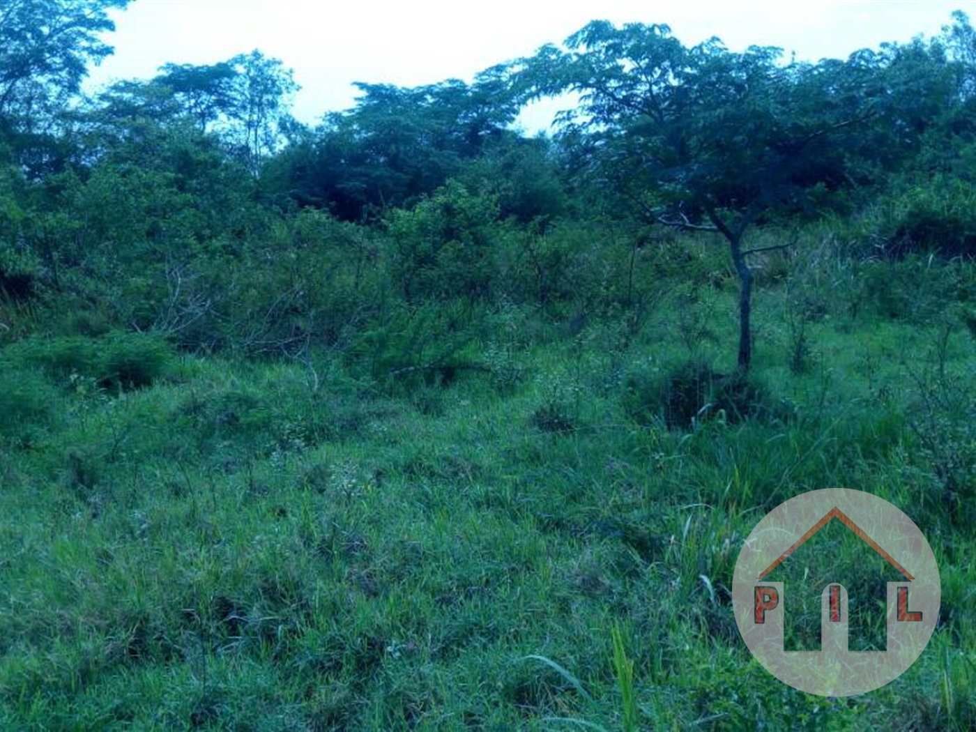 Agricultural Land for sale in Kassanda Mubende