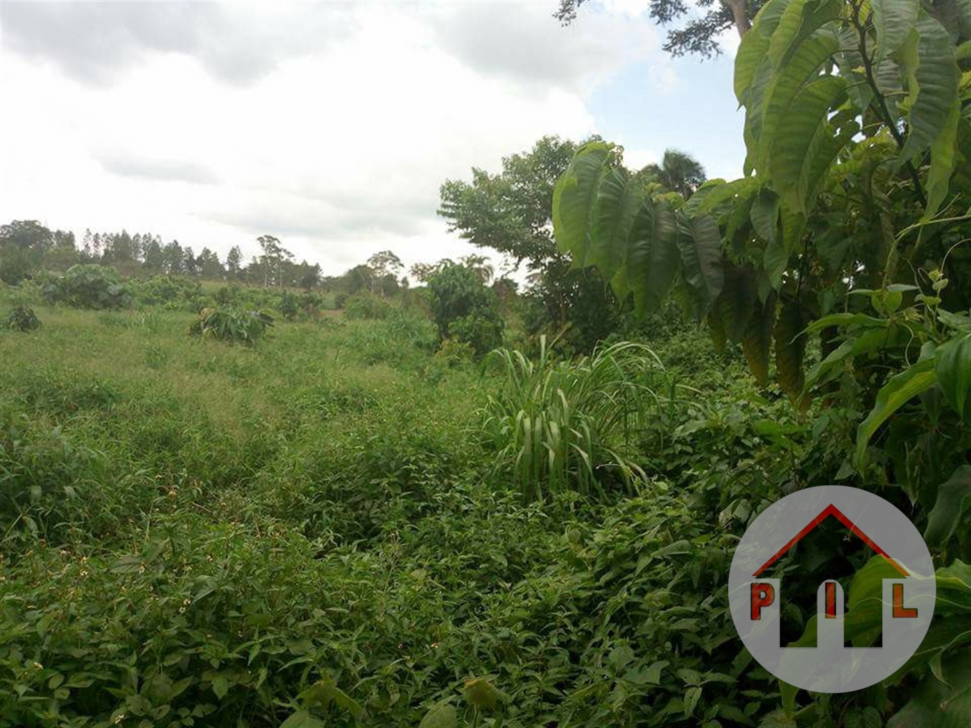 Agricultural Land for sale in Busiika Wakiso