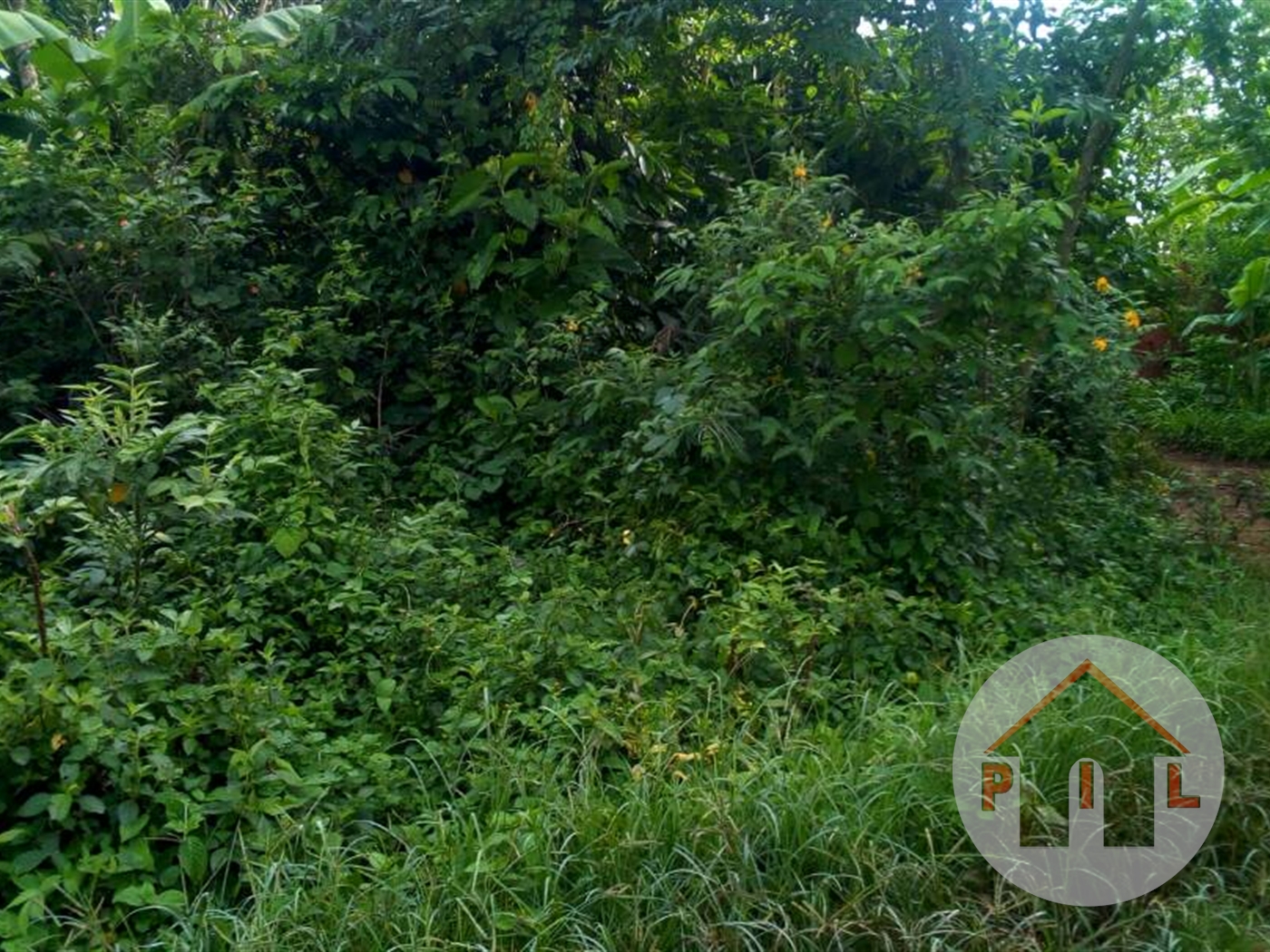 Commercial Land for sale in Nakifuma Wakiso