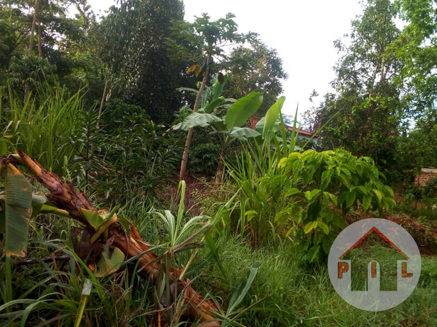 Commercial Land for sale in Nakifuma Wakiso