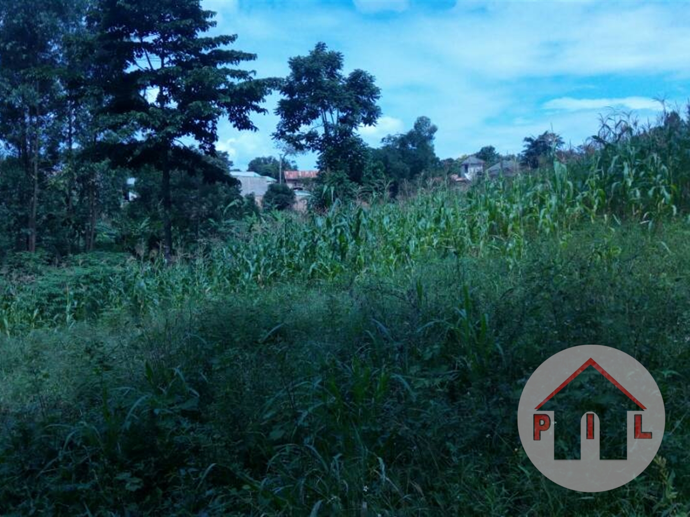 Agricultural Land for sale in Ziloobwe Luweero