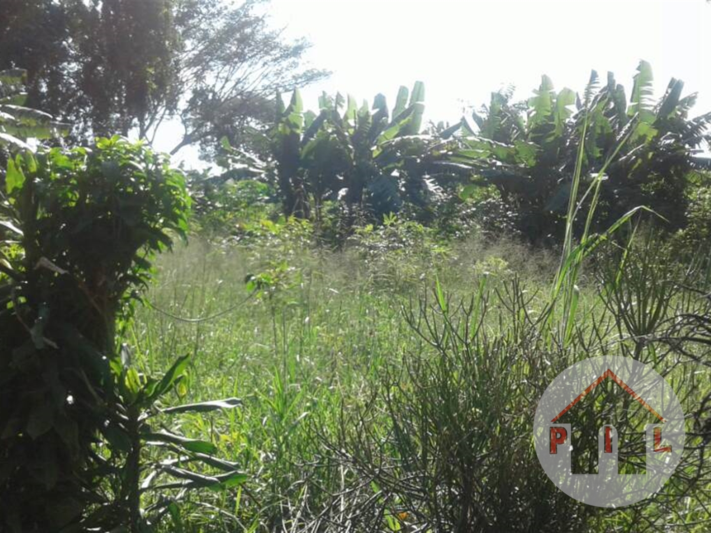 Agricultural Land for sale in Kawuku Wakiso